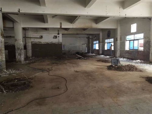 地震無(wú)情，數(shù)據(jù)有心 揭秘開(kāi)平市幼兒園房屋抗震檢測(cè)成本的多維考量